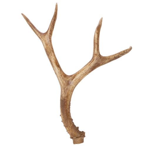 Bois de cerf artificiels, réalistes, rustiques, 32 cm acheter | Floristik24.be