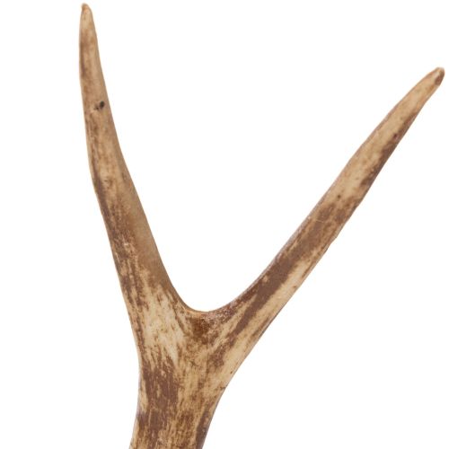 Bois de cerf artificiels,