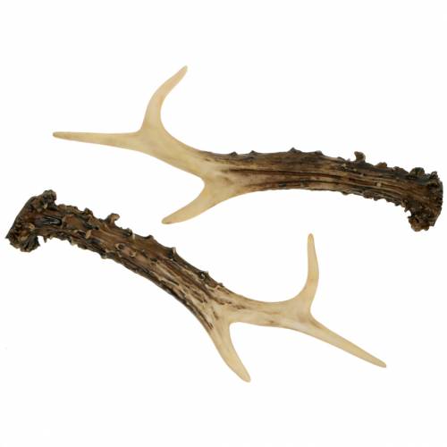 Floristik24 Déco maison de campagne en bois de cerf décoration de table 23cm 2pcs