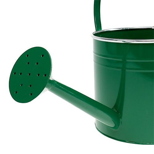 Floristik24 Arrosoir de décoration vert foncé Ø 20 cm H. 18 cm