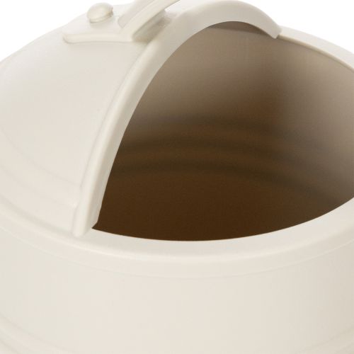 Article Arrosoir avec pommeau amovible. Idéal pour les plantes d'intérieur et les balcons. Blanc. 32 cm.