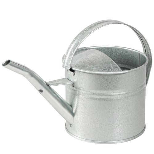 Floristik24 Arrosoir décoration métal argent vintage 30×13×14cm 1,25l