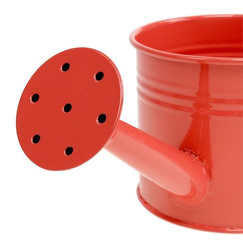 Floristik24 Arrosoir Orange Mix Ø11cm H9cm 8pcs