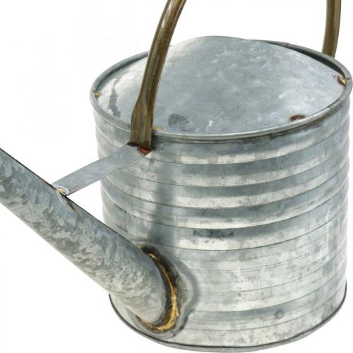 Floristik24 Arrosoir métal aspect antique 52×20×33cm