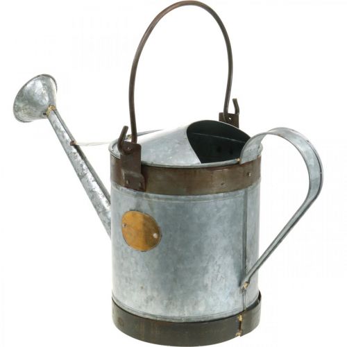 Article Arrosoir décoratif jardinière en métal look rétro panier suspendu 58×23×32cm