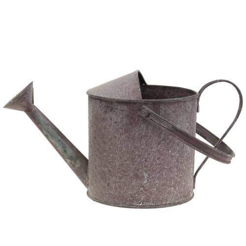 Floristik24 Arrosoir Décoratif Violet H15cm