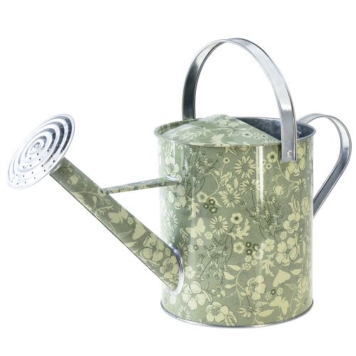 Floristik24 Arrosoir pour décoration de plantation fleurs vert argent Ø18cm