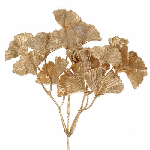 Floristik24 Branche de Ginkgo artificielle or 35cm 3pcs