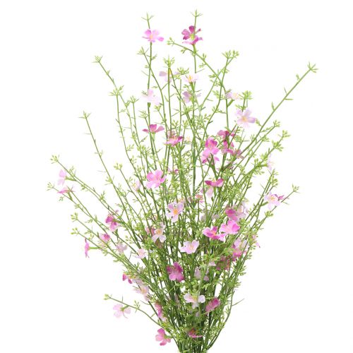 Floristik24 Ajonc buisson lilas 60cm