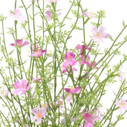 Floristik24 Ajonc buisson lilas 60cm