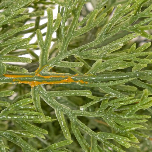 Guirlande de sapin artificiel pour portes et fenêtres, 200 cm | Floristik24.be