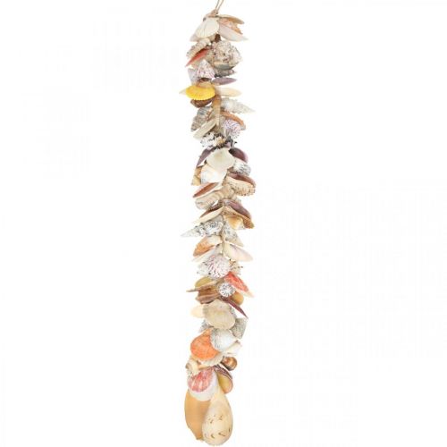 Cintre décoratif avec coquillages, guirlande maritime, coquillages et coquilles d&#39;escargots 85cm