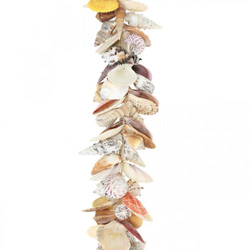 Article Cintre décoratif avec coquillages, guirlande maritime, coquillages et coquilles d&#39;escargots 85cm