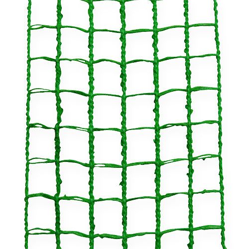 Floristik24 Grille ruban 4.5cmx10m vert