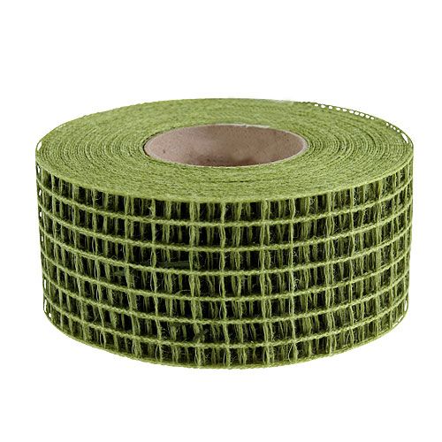 Floristik24 Ruban grillagé vert mousse 4,5 cm x 10 m