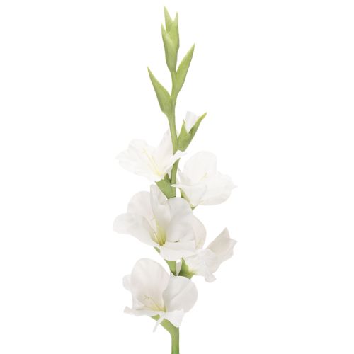 Glaïeul artificiel, à longue tige, pour vases, 88 cm acheter | Floristik24.be