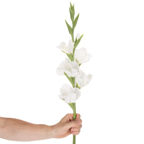 Glaïeul artificiel, à longue tige, pour vases, 88 cm | Floristik24.be