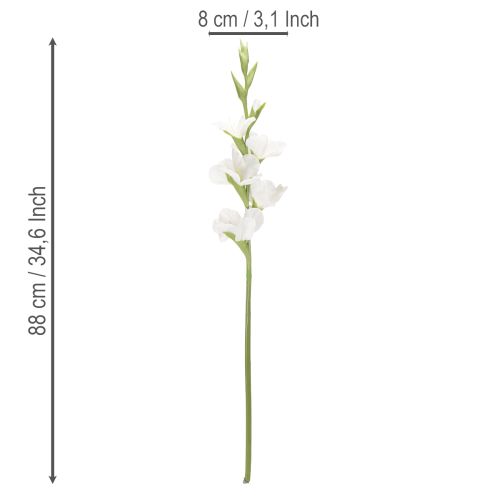 Glaïeul artificiel, à longue tige, pour vases, 88 cm | Floristik24.be