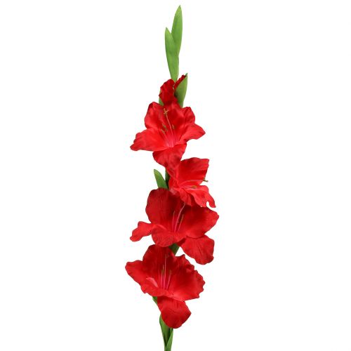 Floristik24 Glaïeul rouge artificiel 86cm