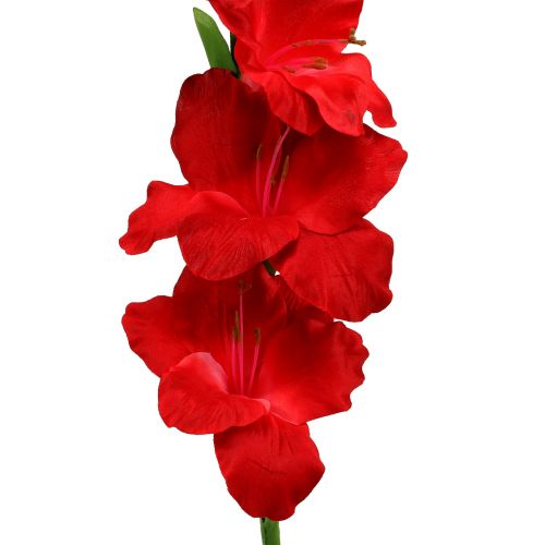 Floristik24 Glaïeul rouge artificiel 86cm