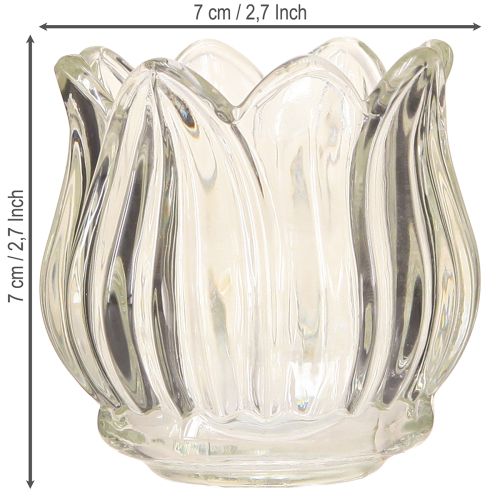 Article Photophore tulipe en verre transparent Ø7cm H7cm 2pcs