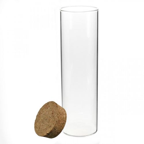Floristik24 Verre avec couvercle en liège Cylindre en verre avec bouchon Clair Ø6cm H21cm