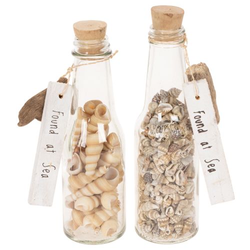 Bouteille décorative en verre avec coquillages et pendentif, décoration de table marine, 17 cm, 2 pièces acheter | Floristik24.be