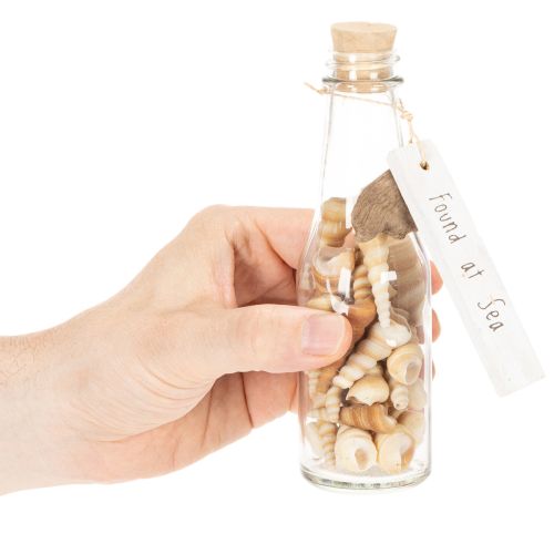 Bouteille décorative en verre avec coquillages et pendentif, décoration de table marine, 17 cm, 2 pièces | Floristik24.be