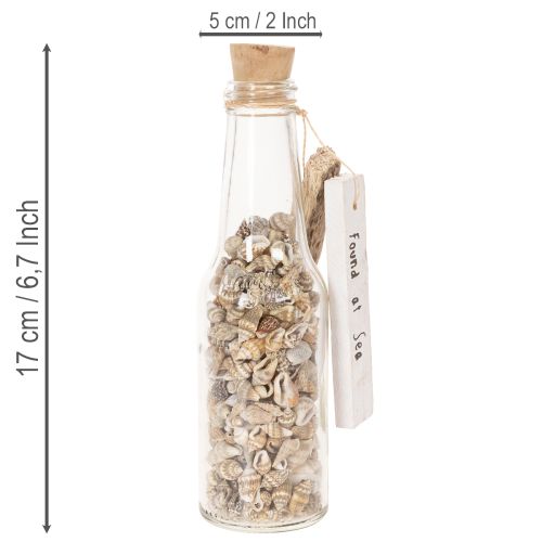Bouteille décorative en verre avec coquillages et pendentif, décoration de table marine, 17 cm, 2 pièces | Floristik24.be
