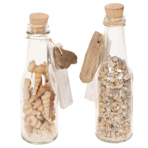 Bouteille décorative en verre avec coquillages et pendentif, décoration de table marine, 17 cm, 2 pièces | Floristik24.be