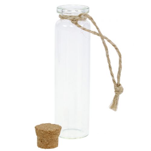Floristik24 Bouteille en verre transparente pour accrocher 8.5cm 6pcs