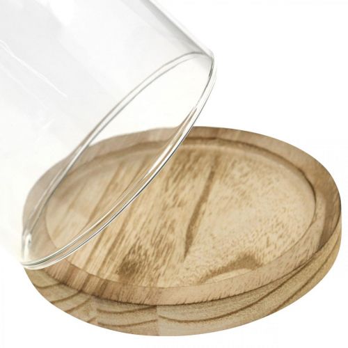 Article Cloche décorative, coupole en verre avec plaque en bois, décoration de table H16cm Ø12.5cm