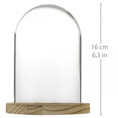 Article Cloche décorative, coupole en verre avec plaque en bois, décoration de table H16cm Ø12.5cm