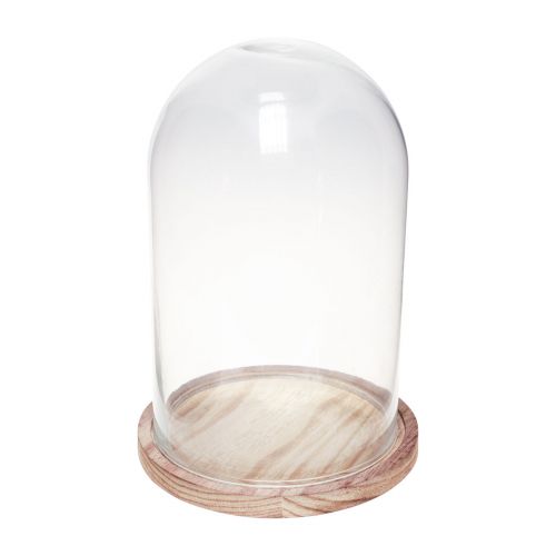 Floristik24 Cloche en verre avec plaque en bois décor verre Ø17cm H25cm