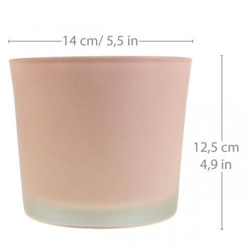 Article Pot de fleurs jardinière en verre pot en verre rose Ø14.5cm H12.5cm