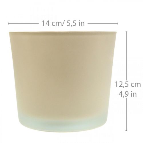 Article Pot de fleur en verre jardinière beige pot en verre Ø14,5cm H12,5cm