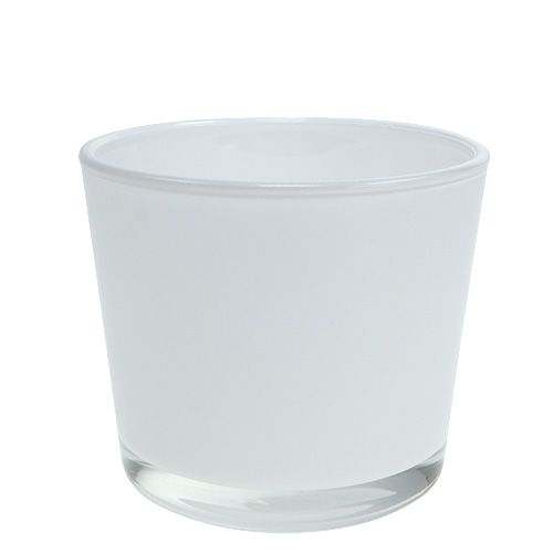 Floristik24 Cache-pot en verre blanc Ø10cm H8.5cm