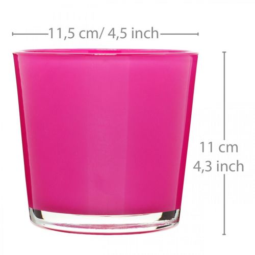 Floristik24 Pot en verre, jardinière rose Ø11.5cm H11cm