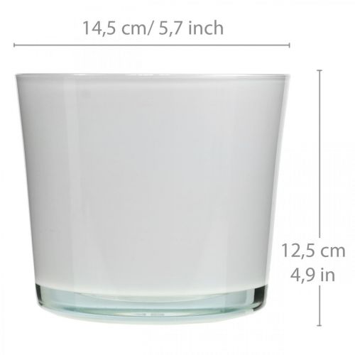 Article Cache-pot en verre bac à fleurs en verre blanc Ø14,5cm H12,5cm