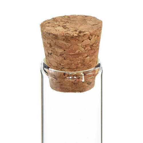 Floristik24 Mini vases en verre tubes de verre décoratifs avec bouchons H11,5cm 24 pcs