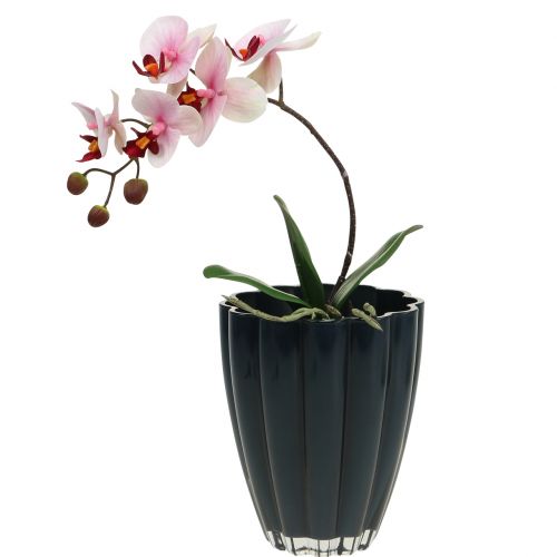 Floristik24 Vase En Verre &quot;Bloom&quot; Bleu Foncé Ø14cm H17cm