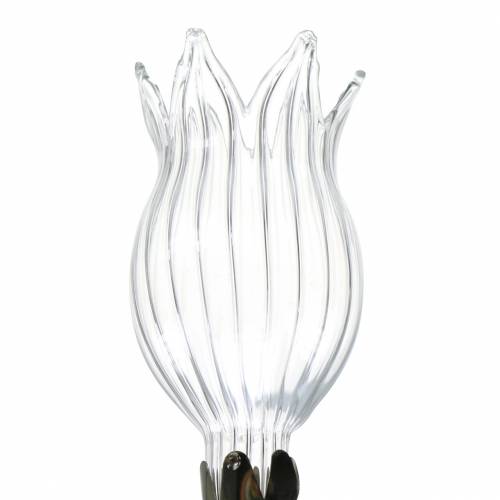 Floristik24 Vase en verre avec clip fleur Ø3.3cm H8.5cm clair 4pcs