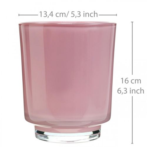 Floristik24 Jardinière à orchidées en verre rose H16cm Ø13.4cm