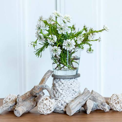 Floristik24 Vase en verre clair Ø8,5cm H8cm 6pcs