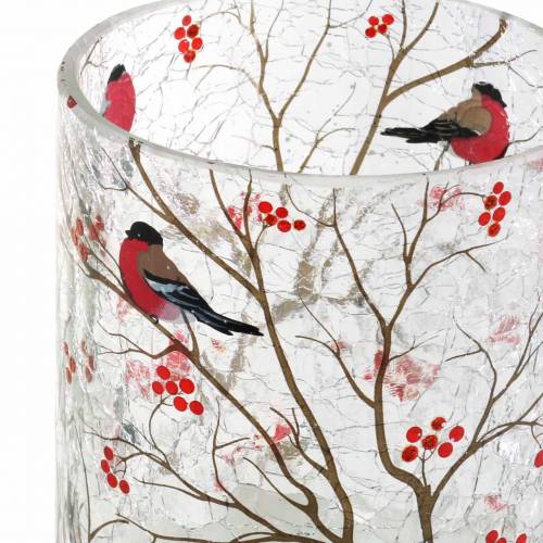 Floristik24 Lanterne Bouvreuil Craquelé Clair Ø9cm H10cm