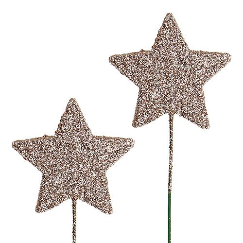 Floristik24 Paillettes étoiles sur le fil champagne 5cm 48pcs