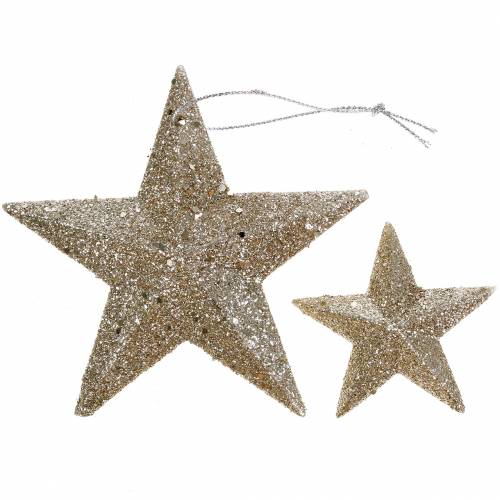 Floristik24 Champagne étoile pailletée 9,5/5cm 18 pcs