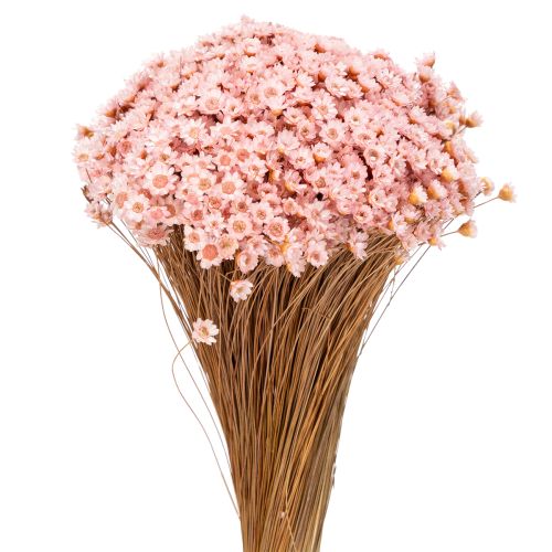 Floristik24 Bouquet de fleurs décoratif, idéal pour le printemps, Pâques et les fêtes, 44 cm