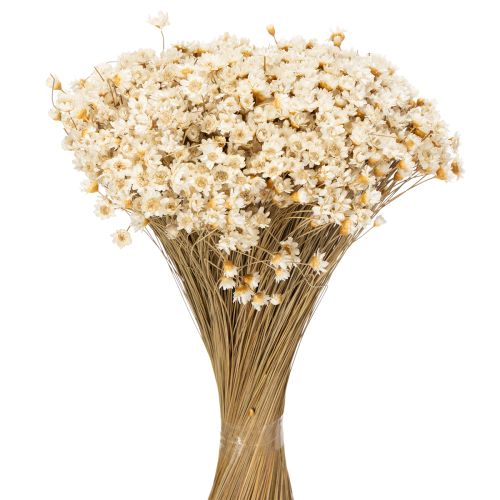 Bouquet de fleurs séchées, fleurs délicates pour une décoration intérieure naturelle, 44 cm