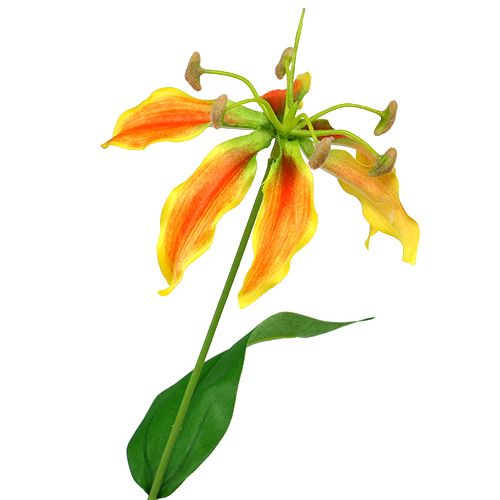 Floristik24 Branche Gloriosa orange-jaune 90cm 1pc
